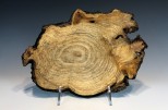 Ash burl #54-10 (13.75" wide x 2" high $155) VIEW 1